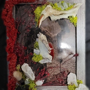 May include: A framed art piece with a skull, moss, and crystals. The skull is white and has a few teeth. The moss is green and the crystals are clear. The background is a dark brown.