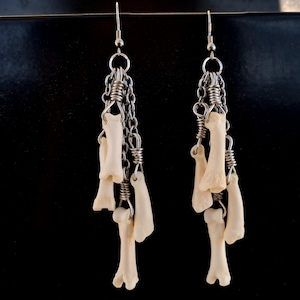 May include: A pair of unique earrings featuring small, off-white bone charms suspended from silver-colored chains and coiled wire. The earrings have a dark background, highlighting the bone and metal elements.