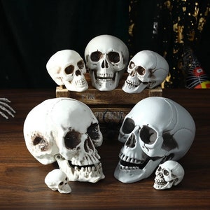 Plastic skulls new arrivals