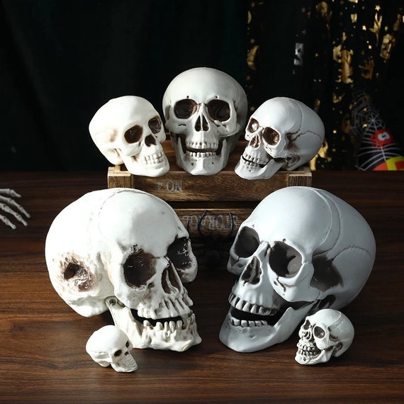 Skull decor discount