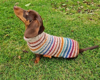 Striped crochet dog sweater pattern for XS dogs | Striped crochet dog jumper pattern | Crochet dog pullover pattern for dachshund