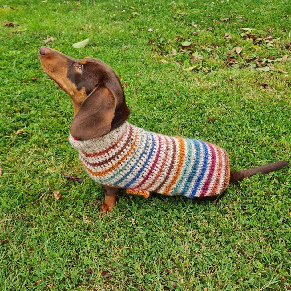 Crochet dog sweater pattern dachshund discount
