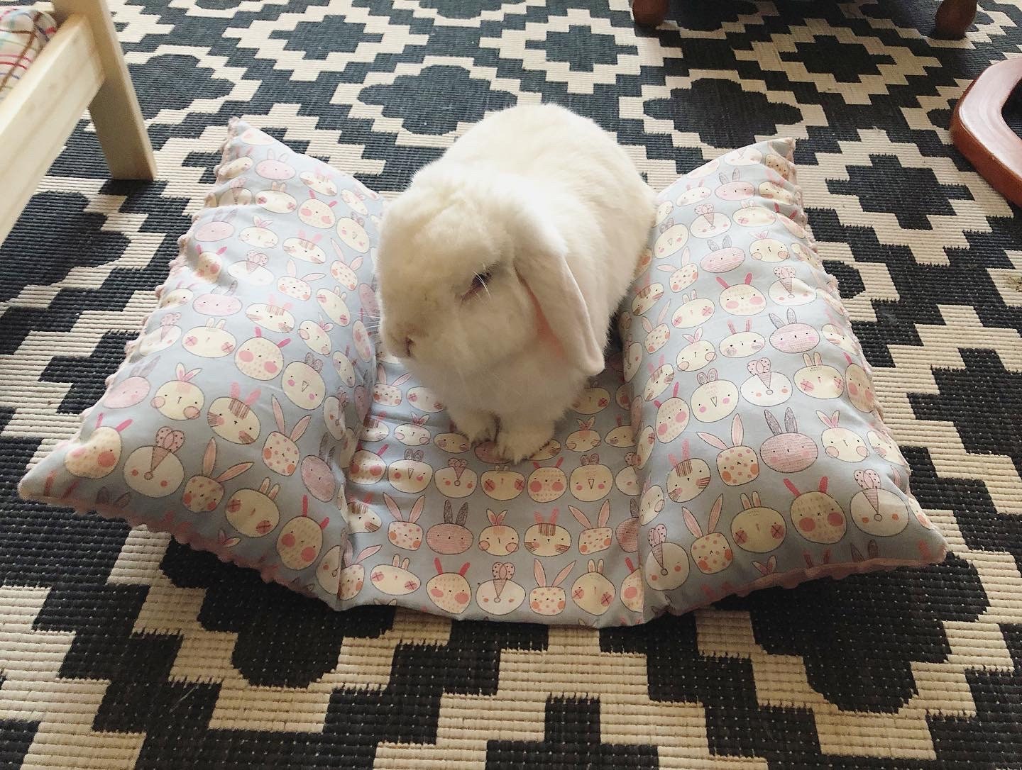 Coussin Pour Petit Animaux