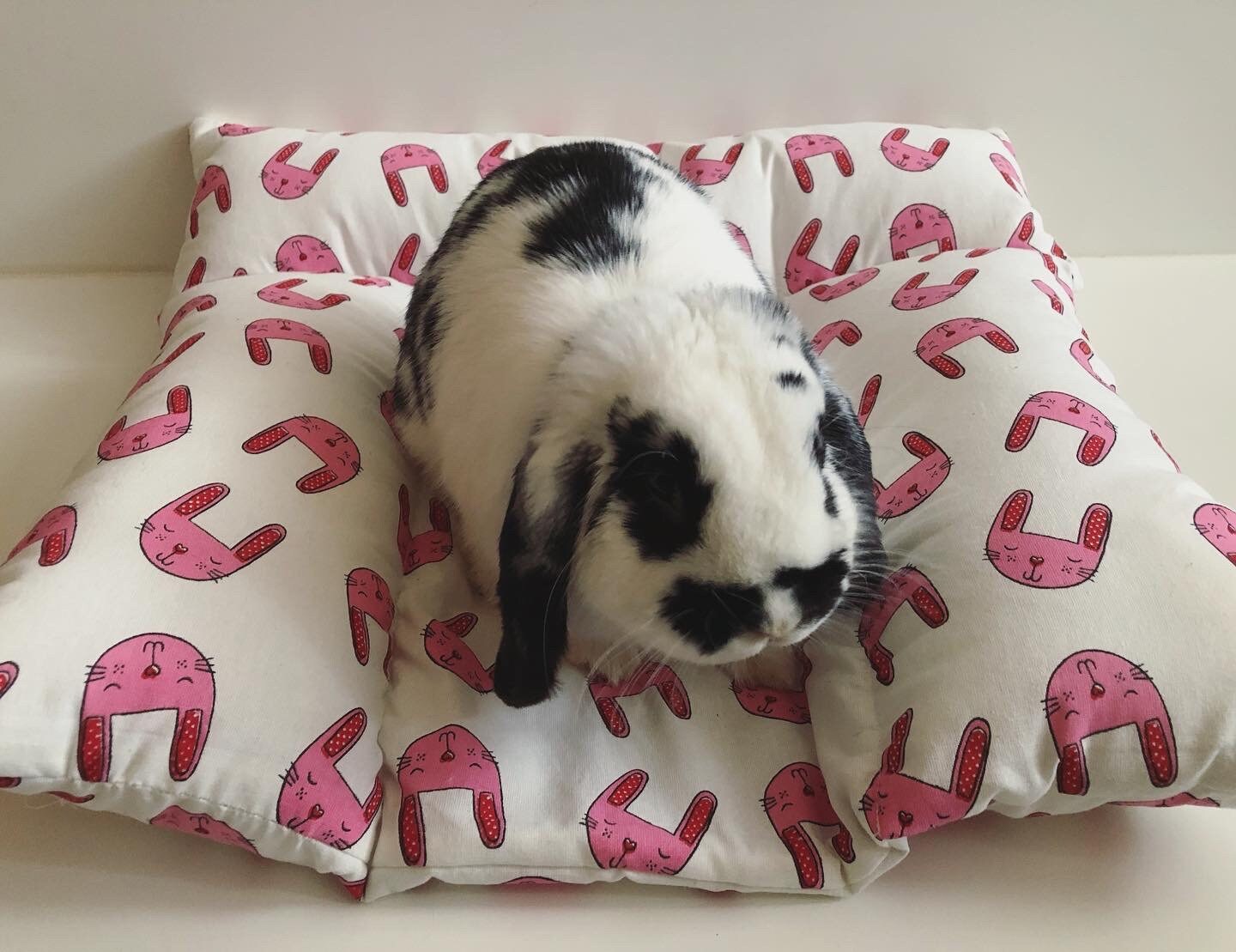 Coussin Pour Lapin
