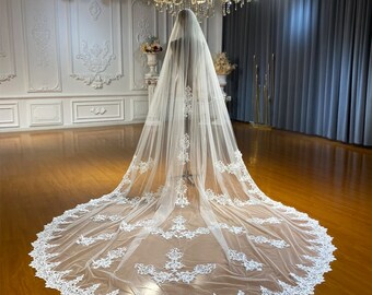 Appliqué Scattered Lace Trimmed Bridal Veil