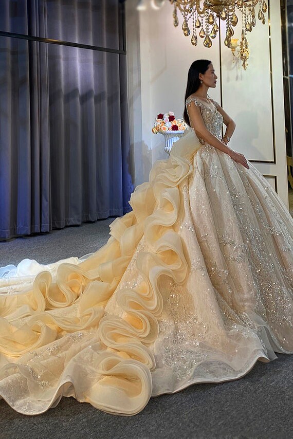 Floral Beaded Appliqu Princess Ball Wedding Gown With Dramatic