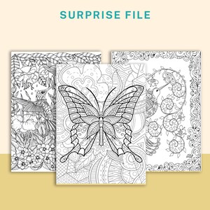 May include: Three black and white coloring pages featuring intricate designs of a butterfly, a hummingbird, and a floral pattern. The designs are detailed and perfect for adults or children who enjoy coloring.