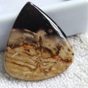 Pu&ograve; includere: Un cabochon di agata a forma di lacrima con un motivo nero, marrone e bianco. L'agata &egrave; traslucida, permettendo alla luce di attraversarla.