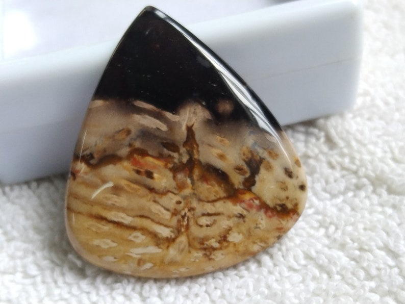 Pu&ograve; includere: Un cabochon di agata a forma di lacrima con un motivo nero, marrone e bianco. L'agata &egrave; traslucida, permettendo alla luce di attraversarla.
