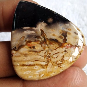 Pu&ograve; includere: Un cabochon di agata lucido a forma di lacrima con un motivo nero, marrone e bianco. La pietra ha un aspetto stratificato e a bande con sfumature di rosso.