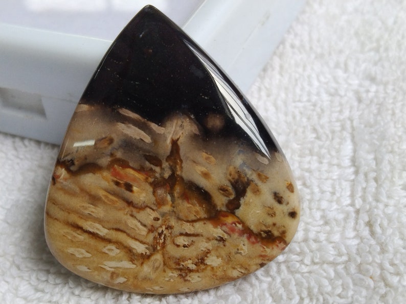 Pu&ograve; includere: Un cabochon di agata a forma di lacrima con un motivo nero, marrone e bianco. L'agata ha una superficie liscia e lucida.