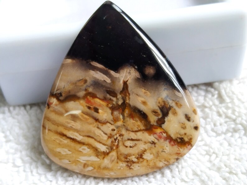 Pu&ograve; includere: Un cabochon di agata lucido a forma di lacrima con un motivo nero, marrone e bianco. La pietra ha un aspetto naturale e organico.