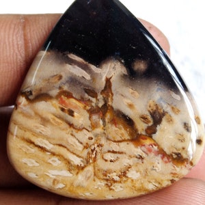 Pu&ograve; includere: Un cabochon a forma di lacrima in legno pietrificato con un motivo nero, bianco, marrone e rosso. La pietra ha una superficie liscia e lucida.