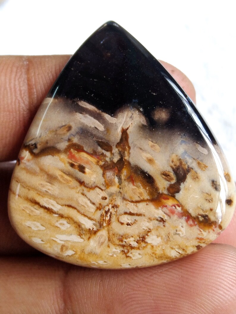 Pu&ograve; includere: Un cabochon a forma di lacrima in legno pietrificato con un motivo nero, bianco, marrone e rosso. La pietra ha una superficie liscia e lucida.