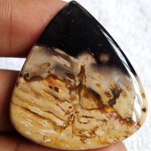 Pu&ograve; includere: Un cabochon a forma di lacrima di legno pietrificato con un motivo nero, marrone e bianco. La pietra ha una superficie liscia e lucida.