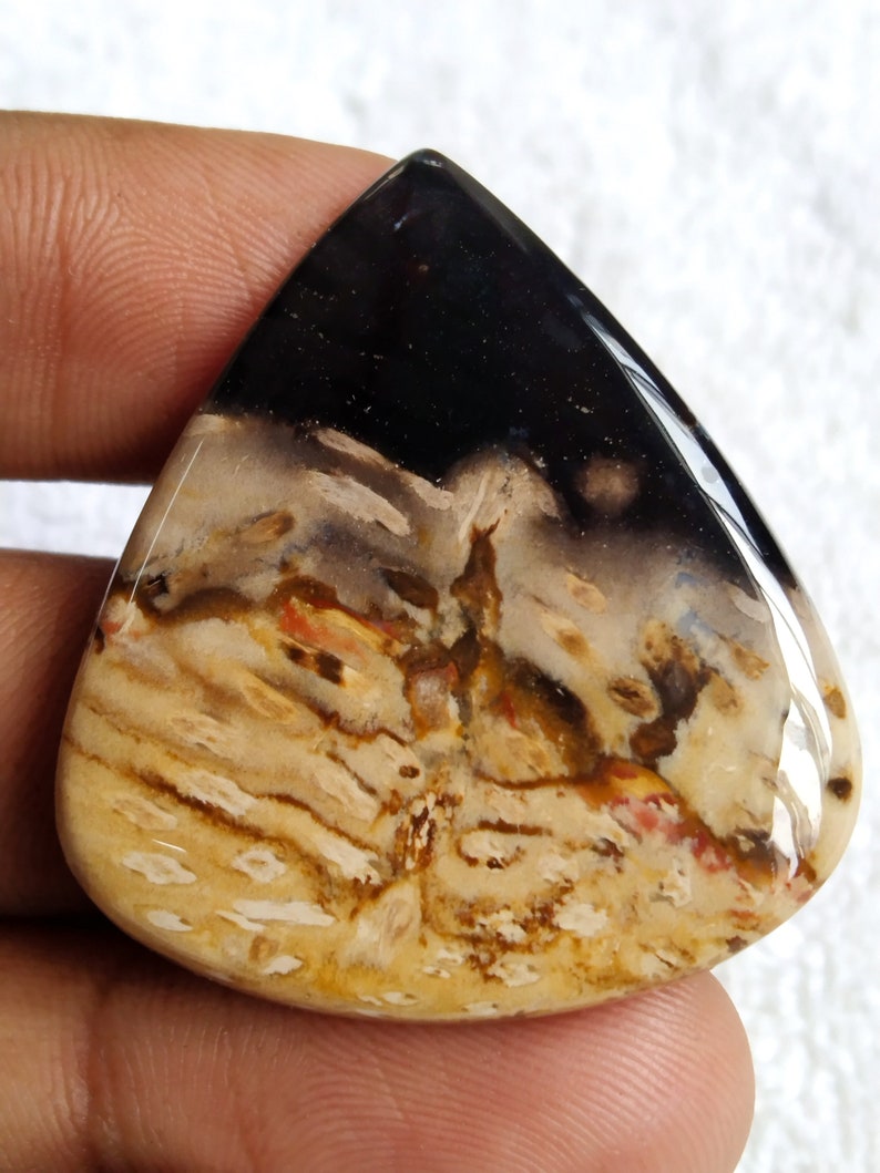 Pu&ograve; includere: Un cabochon a forma di lacrima di legno pietrificato con un motivo nero, marrone e bianco. La pietra ha una superficie liscia e lucida.