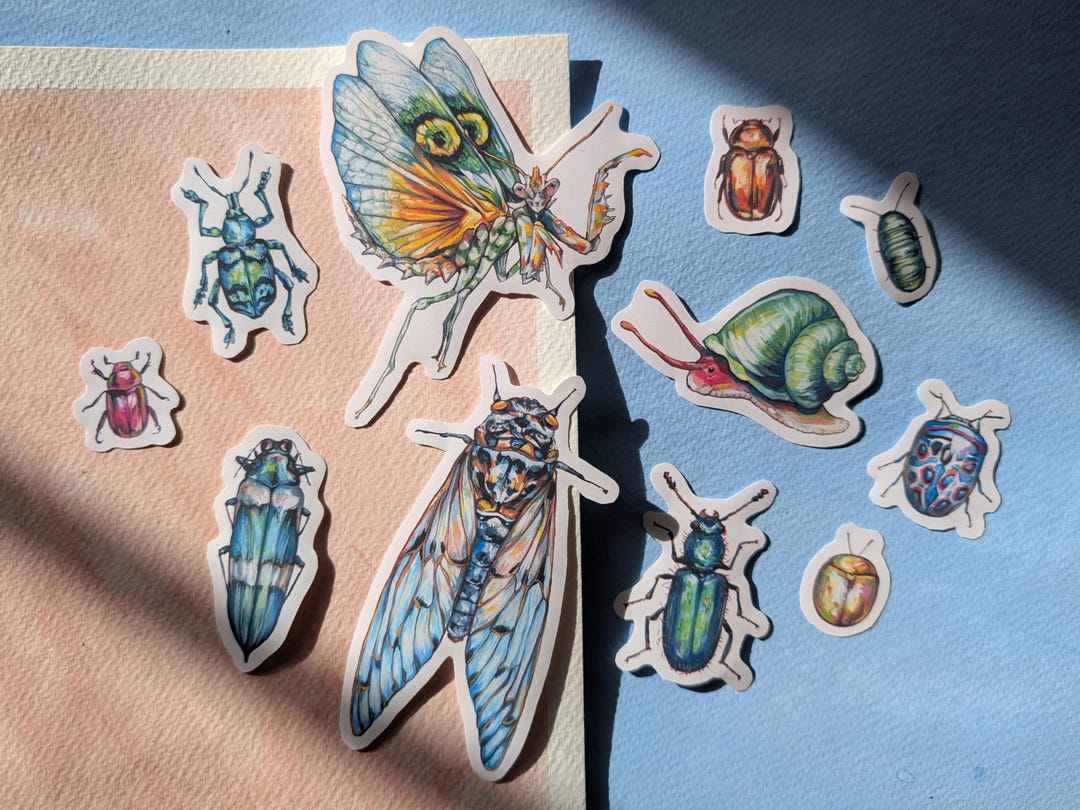 Illustrated Insect Vinyl Sticker Pack, Colourful Bug Beetle Mantis ...