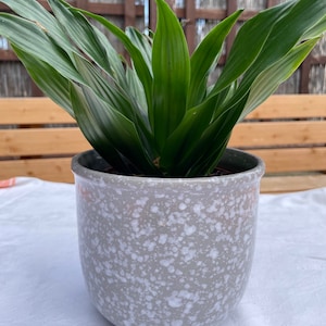 Flowerpot, cachepot, planter