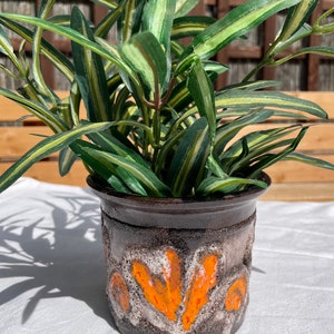 Könnte beinhalten: Ein brauner Keramiktopf mit orangefarbenen und weißen geometrischen Mustern. Eine grüne Pflanze mit weißen Streifen wächst im Topf.