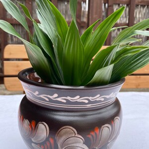 以下が含まれることがあります： 白とオレンジの花柄が施された、濃い茶色のセラミック植木鉢。鉢には、長く尖った葉を持つ緑色の植物が入っています。鉢の縁には白い装飾が施されています。