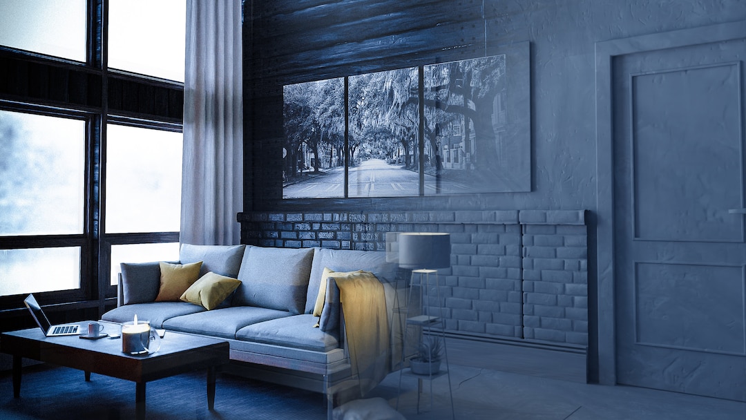 Picture of Capuchin monkey | Primate Behavior & Diet | Britannica