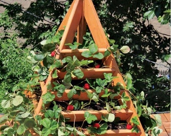 Pyramid Strawberry Planter PLANS - DIY Pyramid Planter How To Woodcraft Plans Garden Planting Plans/Instant PDF Download