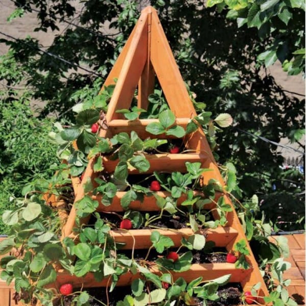 Pyramid Strawberry Planter PLANS - DIY Pyramid Planter How To Woodcraft Plans Garden Planting Plans/Instant PDF Download