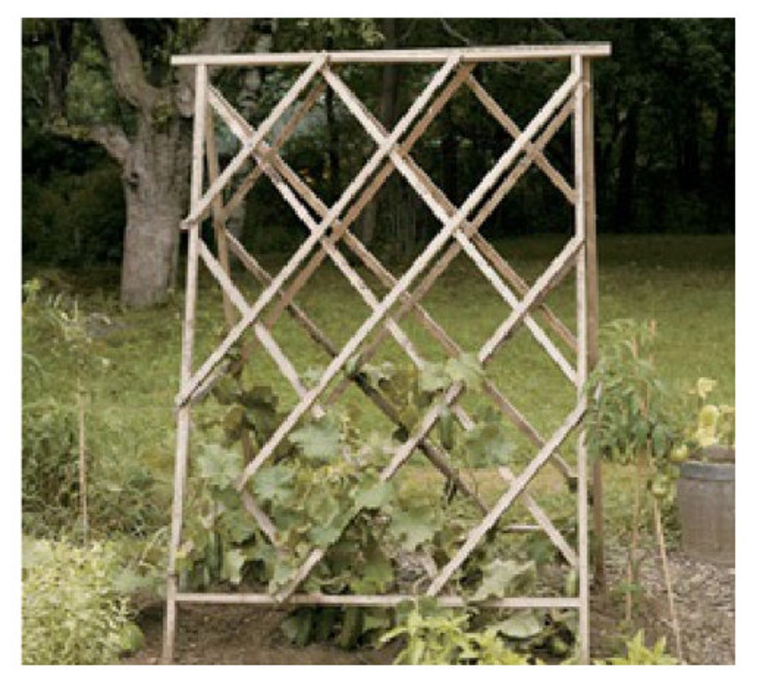 Bean Frame Planter PLANS DIY A Frame Planter How to Woodcraft Plans Garden Planting Plans
