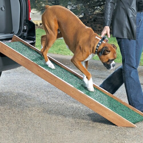 How Do You Make A Homemade Dog Ramp