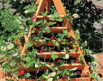 PIANI per fioriere di fragole - Piani fai da te per fioriere piramidali Come realizzare progetti di lavorazione del legno Piani per piantare in giardino/Download PDF immediato