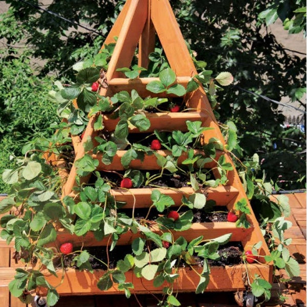 Strawberry Planter PLANS - DIY Pyramid Planter How To Woodcraft Plans Garden Planting Plans/Instant PDF Download