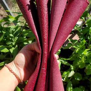 Raspberry Dragonfruit Raw Fruit Leather Fruit Strips Gummy Strips Dragonfruit Dates Raspberries