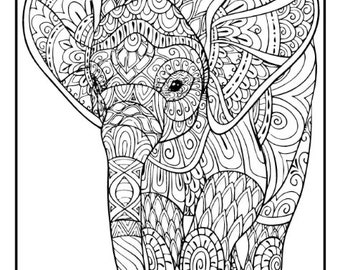 Download Animal Coloring Book Etsy