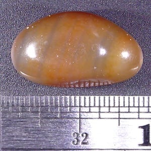 Könnte beinhalten: Ein ovaler, polierter Stein in Bernstein- und Brauntönen mit inneren Streifen. Der Stein ist etwa 2,5 cm lang. Ein Metalllineal liegt zur Größenbestimmung darunter.