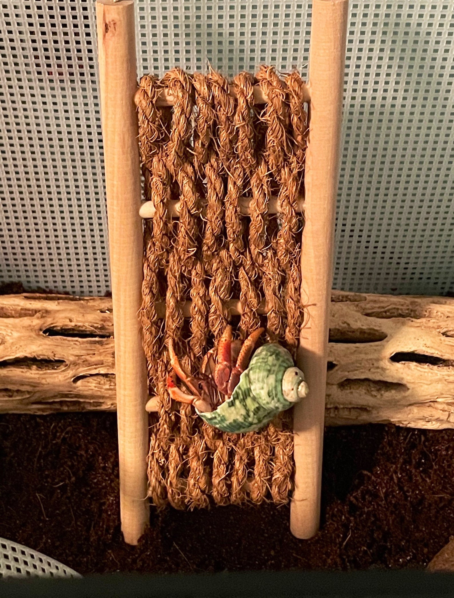 Rope/wood Climbing Ladder/bridge for Hermit Crabs Small Etsy