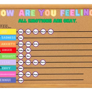 Inside out 2 class emotion check in display board