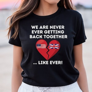 American History T-Shirt, History Teacher Shirt, Funny History Shirts, Social Studies Shirt, American History Gift, Teacher Shirts, Patriot