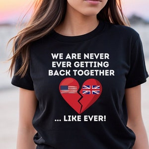 American History T-Shirt, History Teacher Shirt, Funny History Shirts, Social Studies Shirt, American History Gift, Teacher Shirts, Patriot