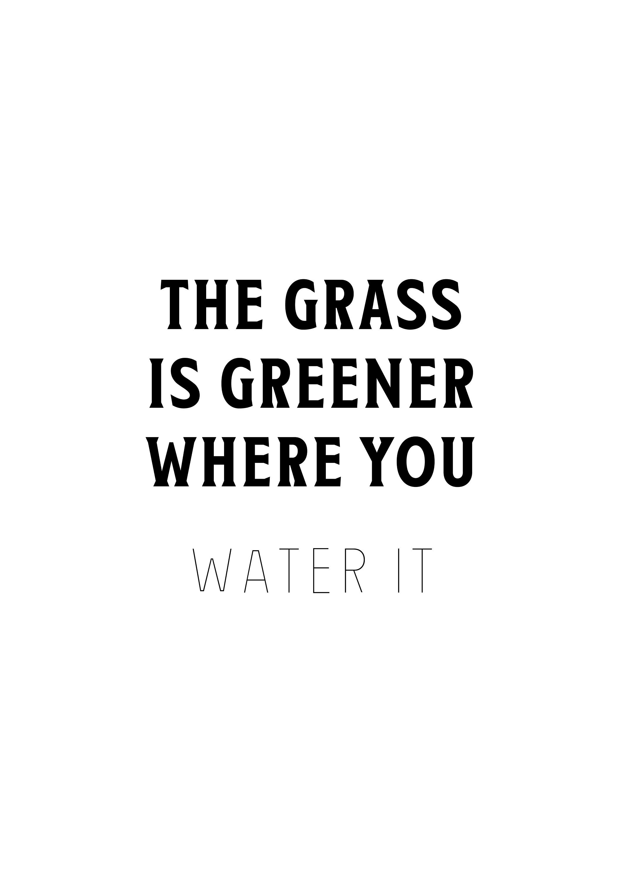 The Grass Is Greener Where You Water It Quotes Wall Art Etsy