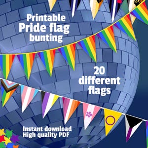 Printable Pride Flag Bunting | PDF file with 20 LGBTQIA+ Flags and Meanings | Pride Month Wall Decoration for Office, Home or a Party