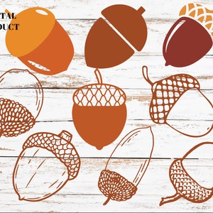 Acorn SVG Bundle | Acorns PNG | Autumn Clipart  | Cricut Cutfile