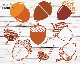 Acorn SVG Bundle | Acorns PNG | Autumn Clipart  | Cricut Cutfile