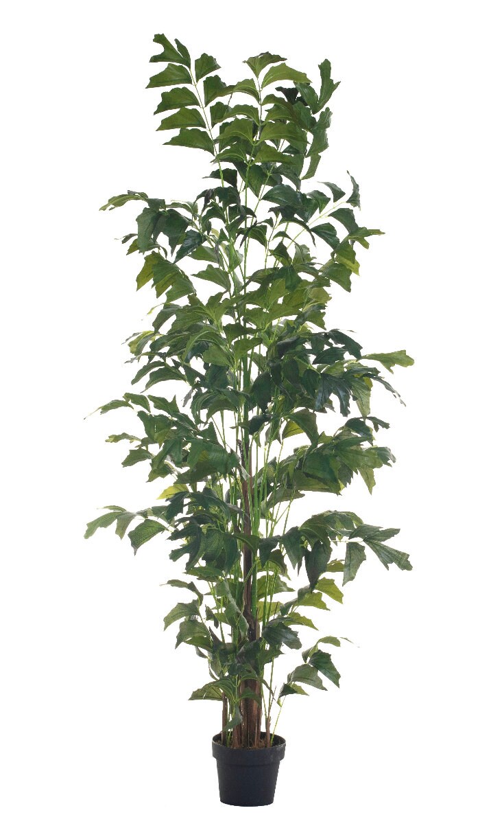 Artificial Fishtail Palm Fishtail Palm Palm Tree Faux Etsy