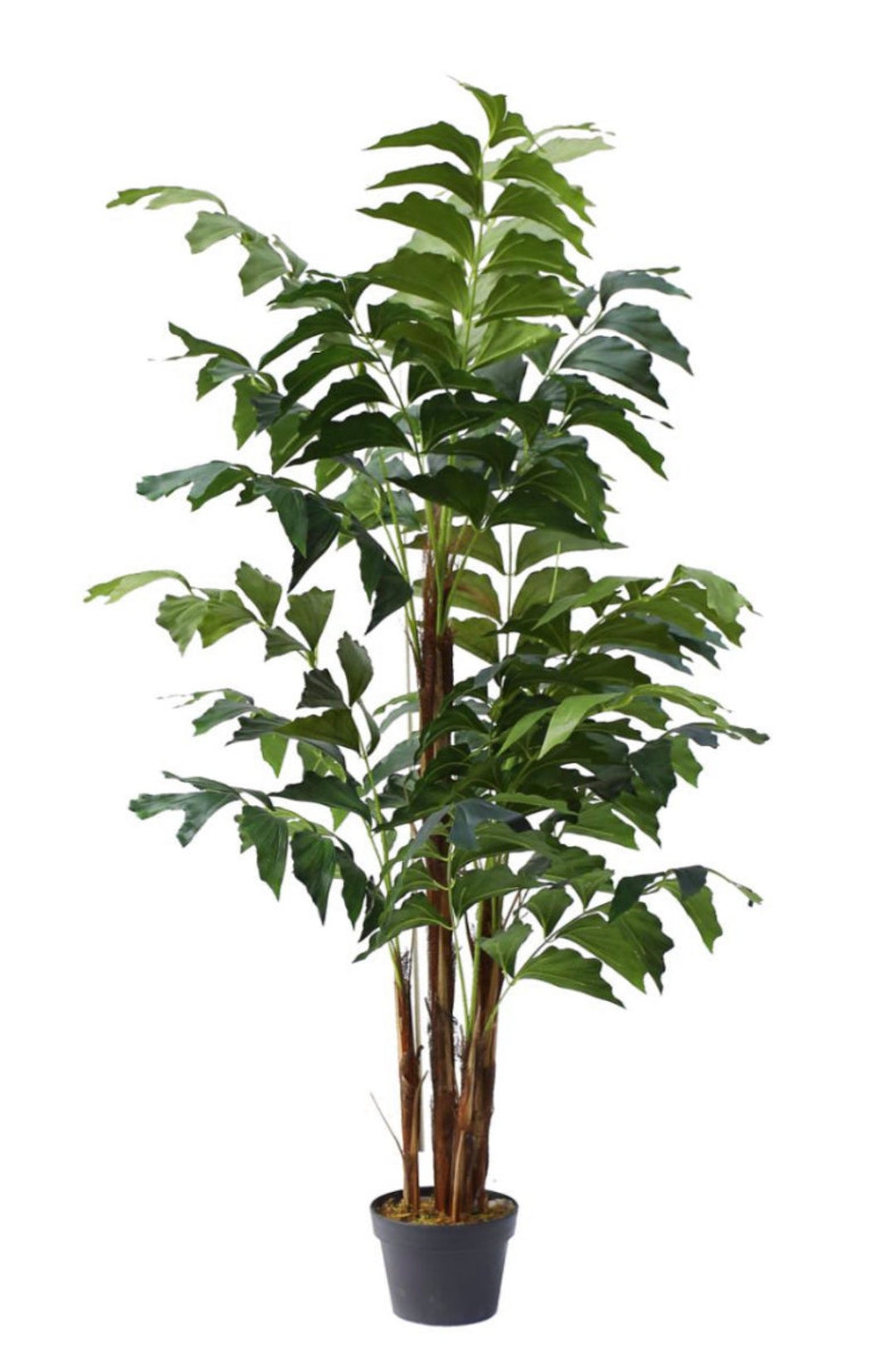 Artificial Fishtail Palm Fishtail Palm Palm Tree Faux Etsy