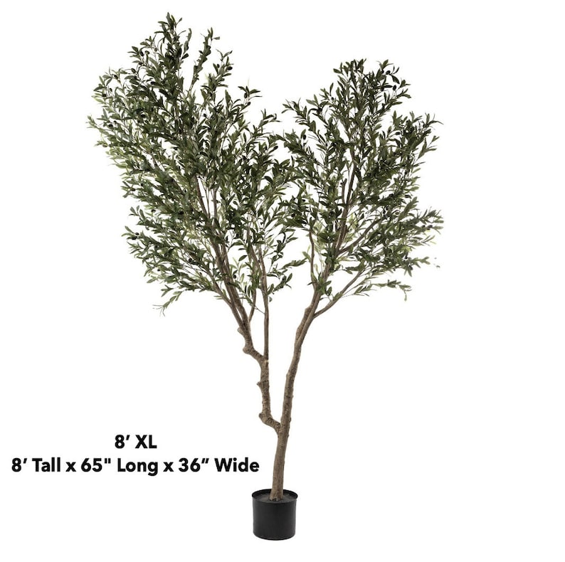 6-8 Faux Olive Tree, Giant Olive Tree, Artificial Olive Tree., Faux Olive Tree, Silk Olive Tree, High End Flora, Giant Olive image 5