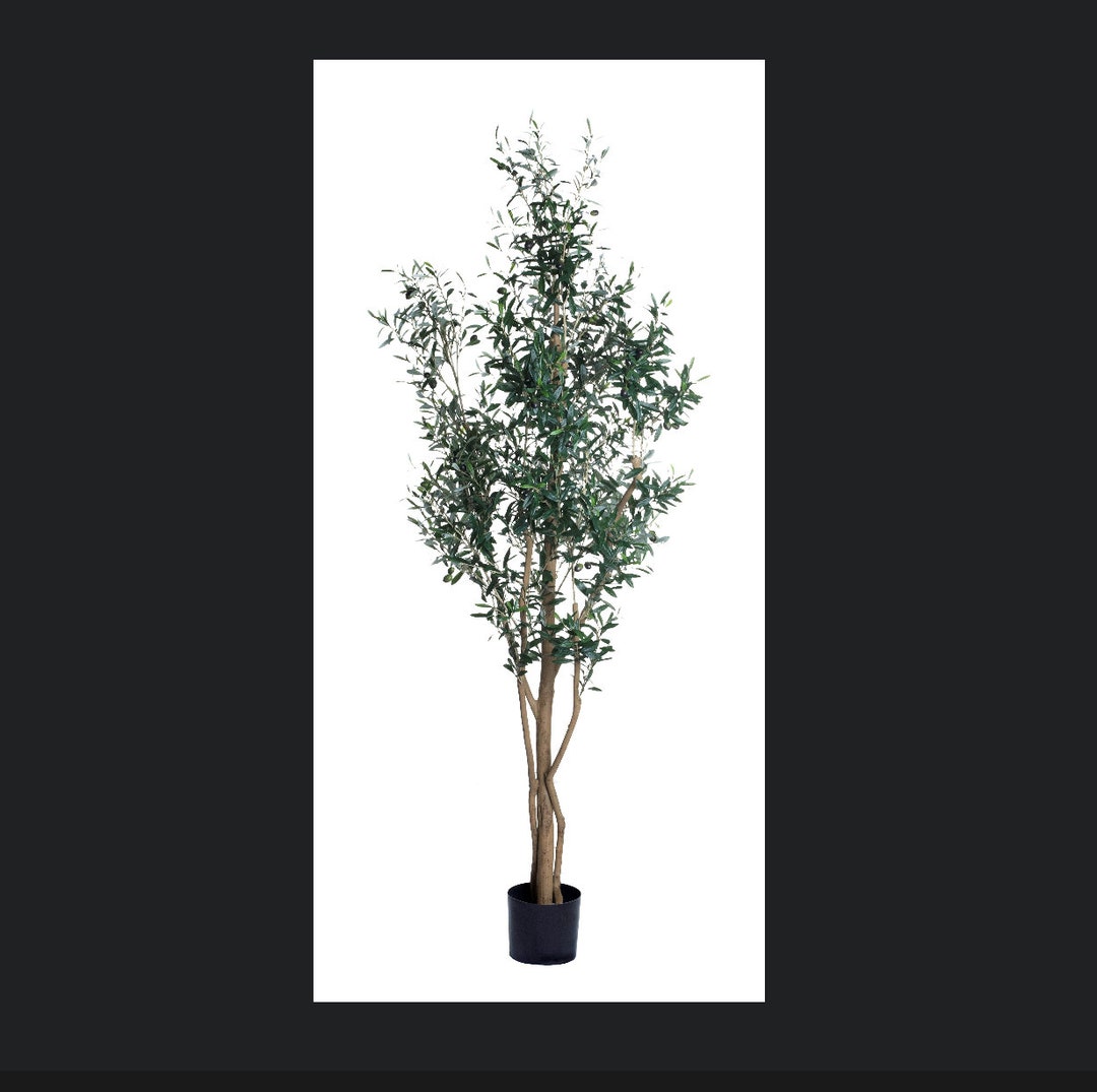 7.5 Artificial Olive Tree Olive Tree With No Olives High Etsy