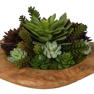 11-12" Teak Wood Bowl with Faux Succulent Arrangement, Succulent Arrangement, Florals, Faux Florals, Faux Succulents