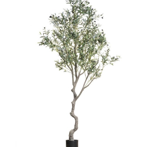 8 Large Artificial Olive Tree WITHOUT Olives 94 Large Etsy