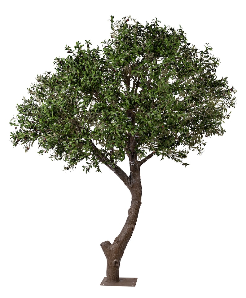 6-8 Faux Olive Tree, Giant Olive Tree, Artificial Olive Tree., Faux Olive Tree, Silk Olive Tree, High End Flora, Giant Olive image 8