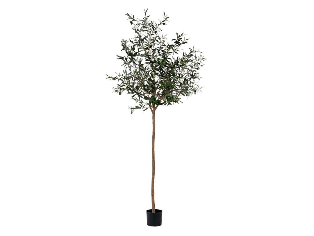 7 Faux Olive Tree, Evergreen, Arrangement, High End Flora, Farmhouse